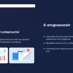 全面解析Adspower浏览器：提升网络营销效率的新选择